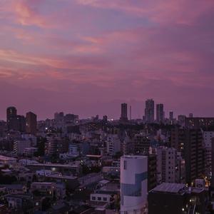 北伦流鼻血视频影视
