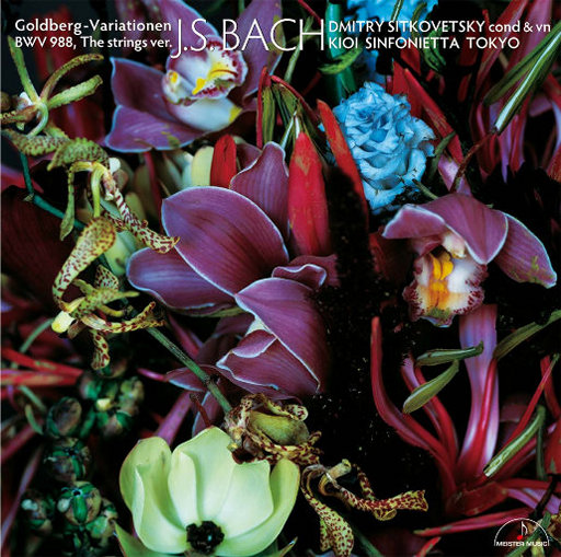 北伦流鼻血视频影视
